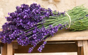 Lavender-Bouquet-Hd-Widescreen-Wallpapers