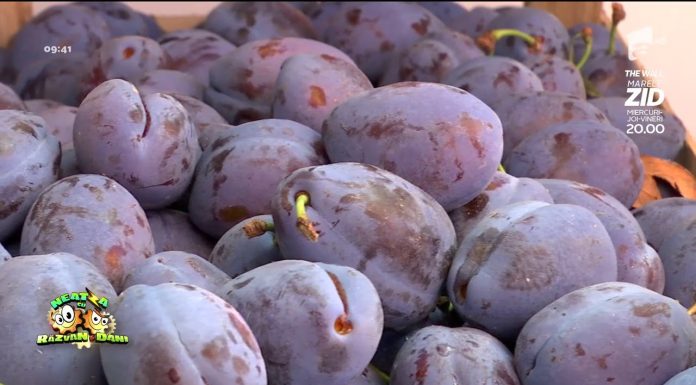 Bună dimineață, Sănătate! Postul de Crăciun pentru copii