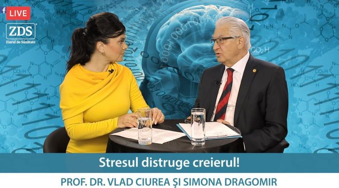 STRESUL DISTRUGE CREIERUL